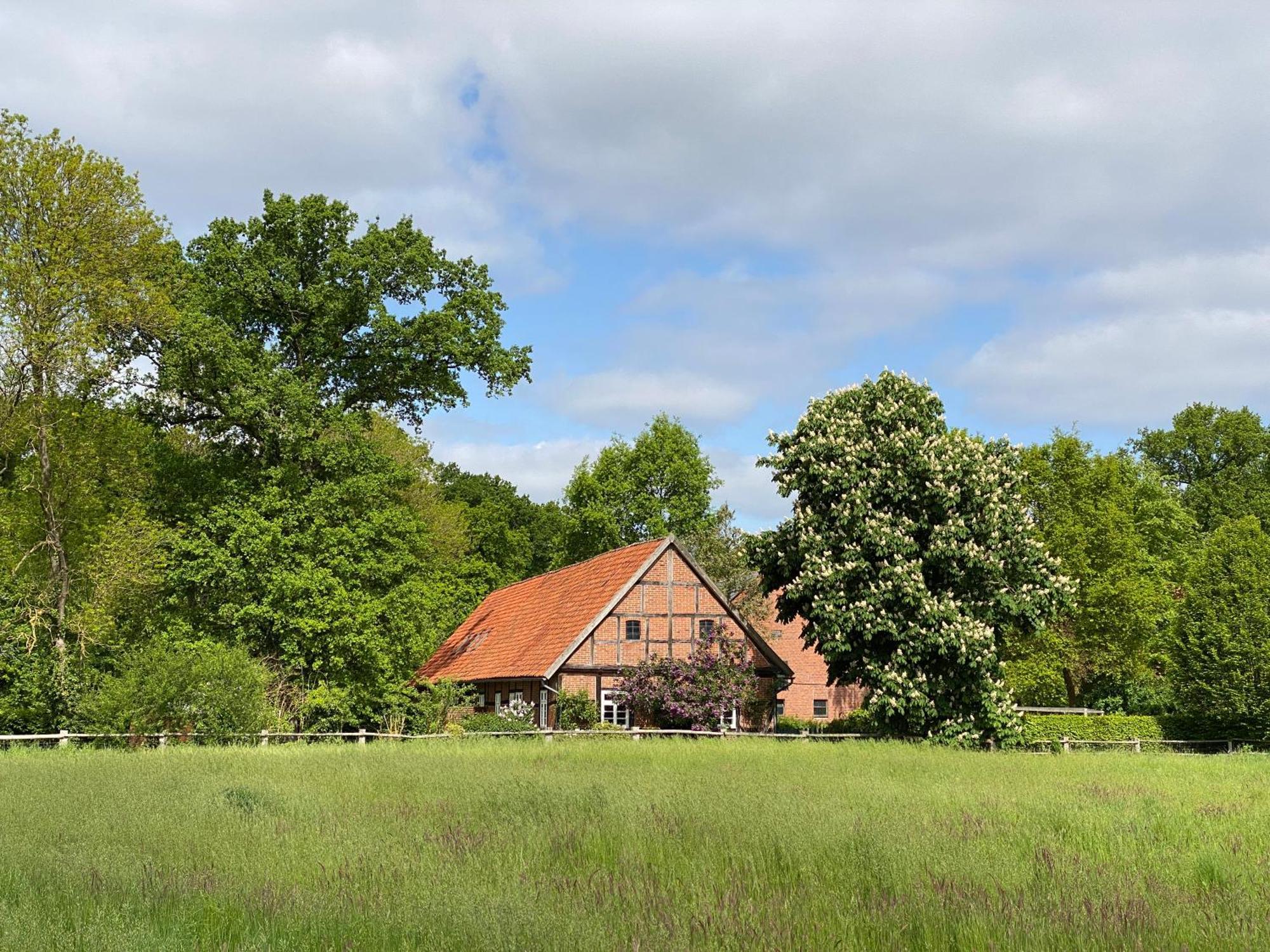 Ferienhaeuser Weitblick Gilten Exterior photo